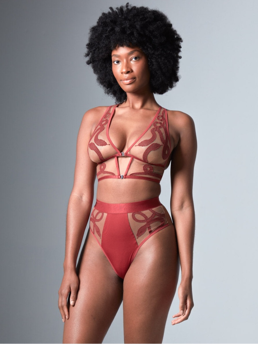 NWT Thistle and Spire MEDUSA HIGH WAISTED BIKINI - OXBLOOD -Small - Picture 2 of 3